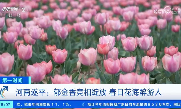 暂无首图