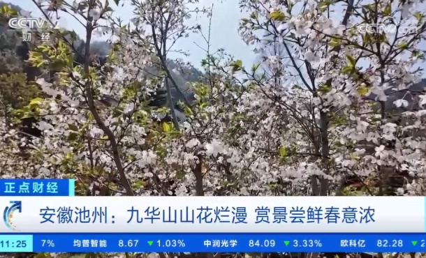 暂无首图