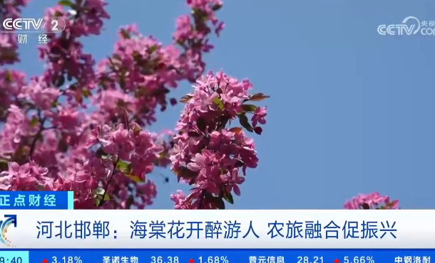 暂无首图