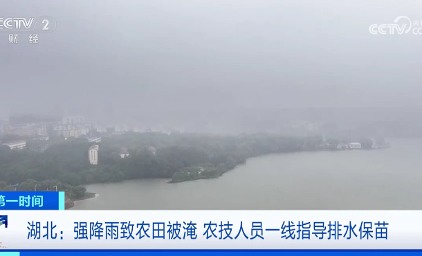 暂无首图