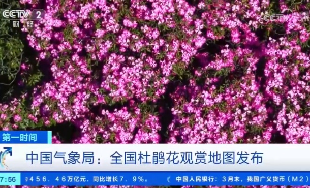 暂无首图