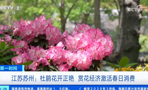 暂无首图