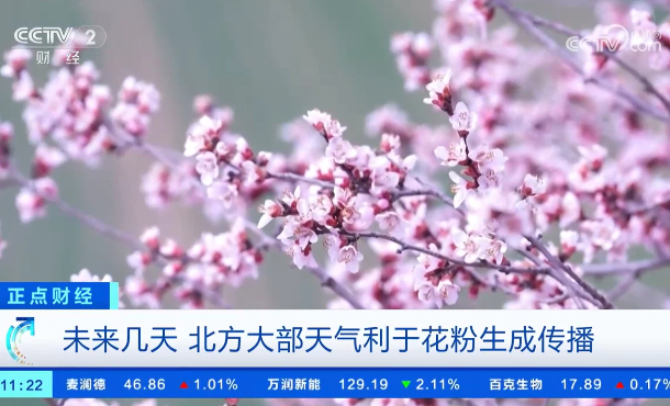 暂无首图