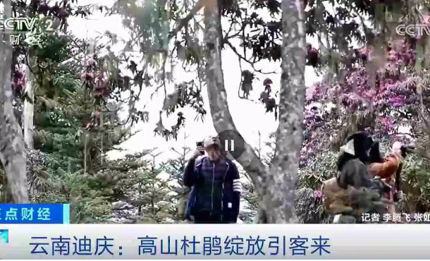 暂无首图