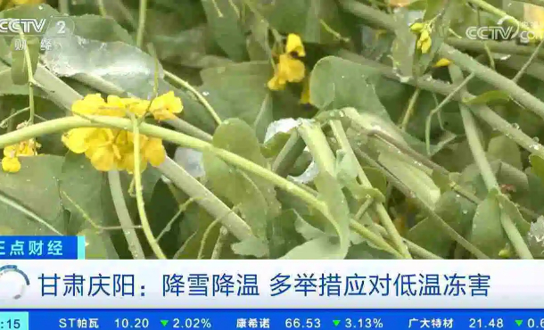 暂无首图