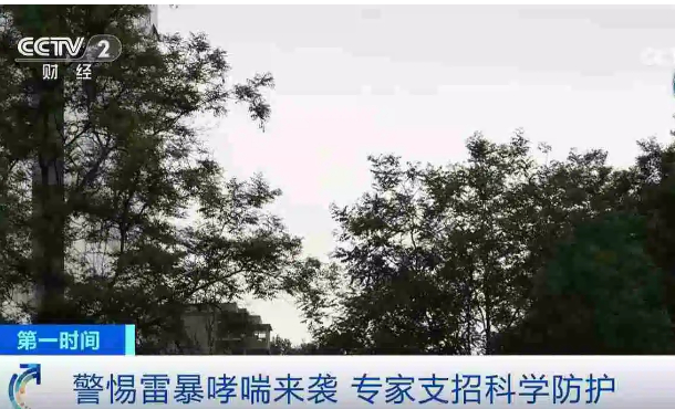 暂无首图