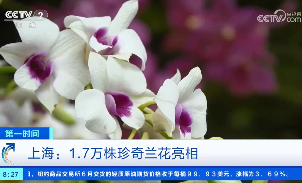 暂无首图