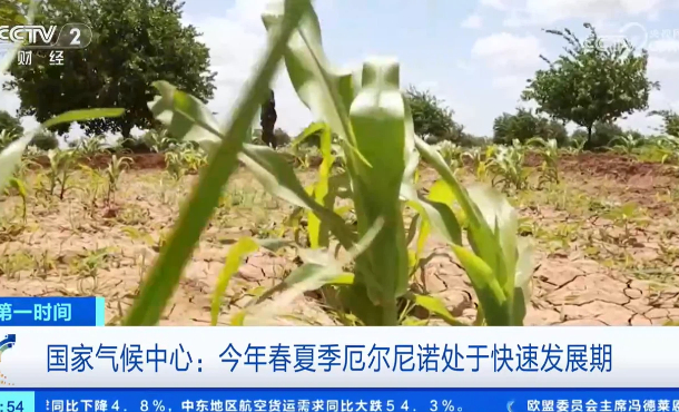 暂无首图