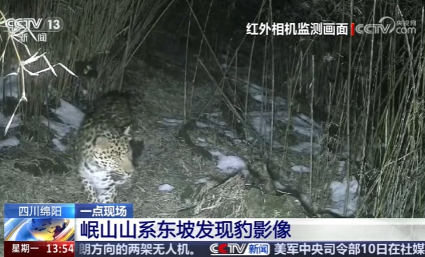暂无首图