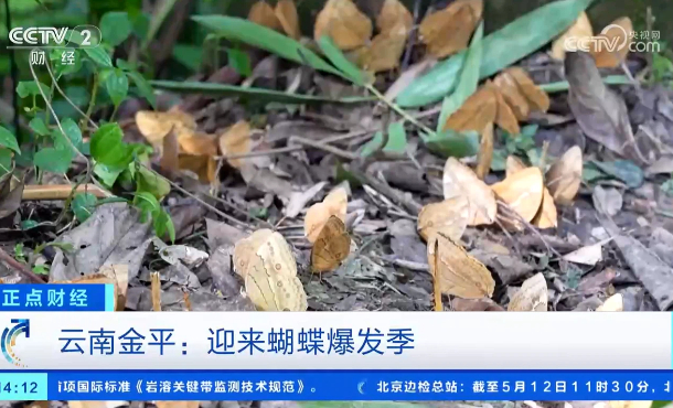 暂无首图
