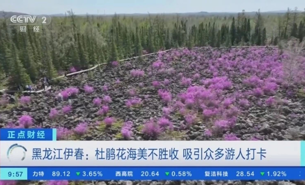 暂无首图